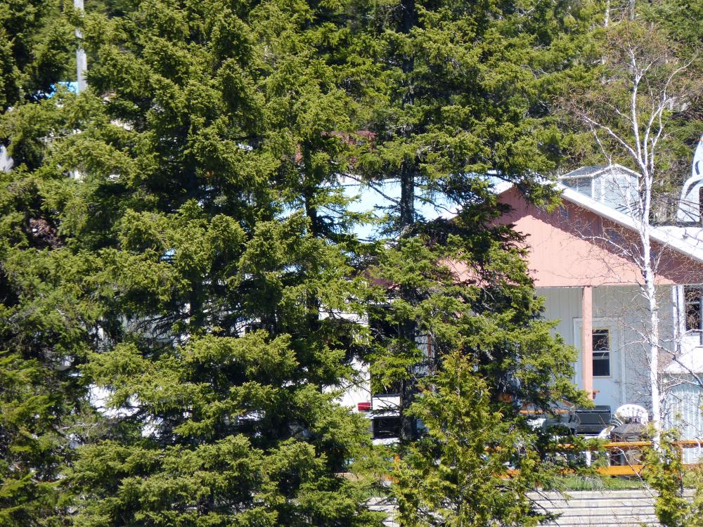 Auberge Camping du Lac Malcom