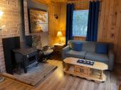 Salon avec poêle au bois